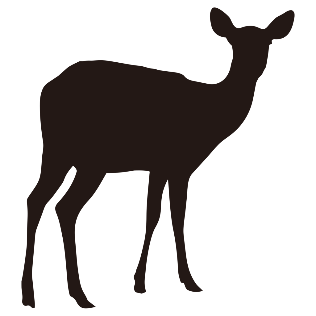 優しく振り返るようなポーズの雌