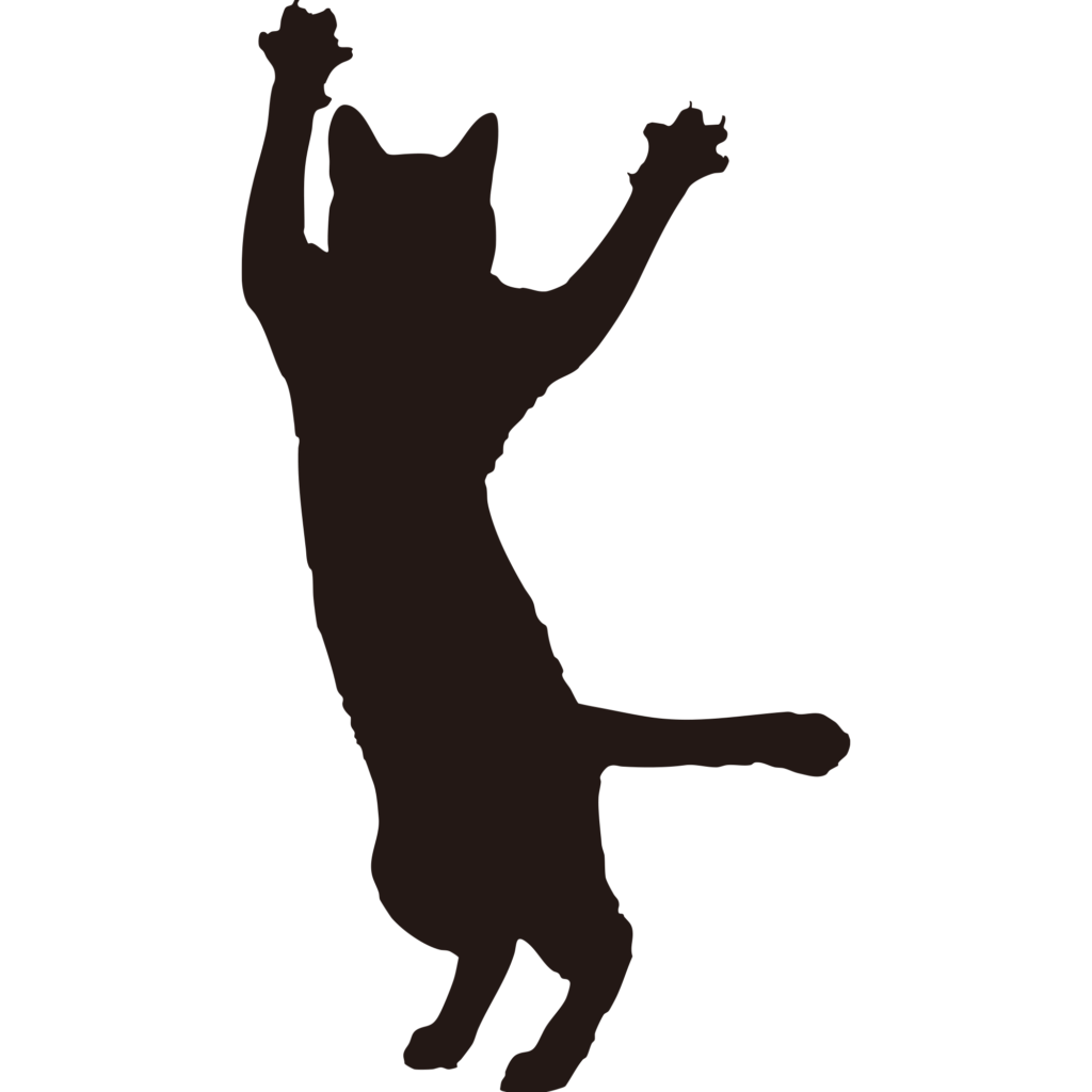 両手を大きく広げて元気いっぱい