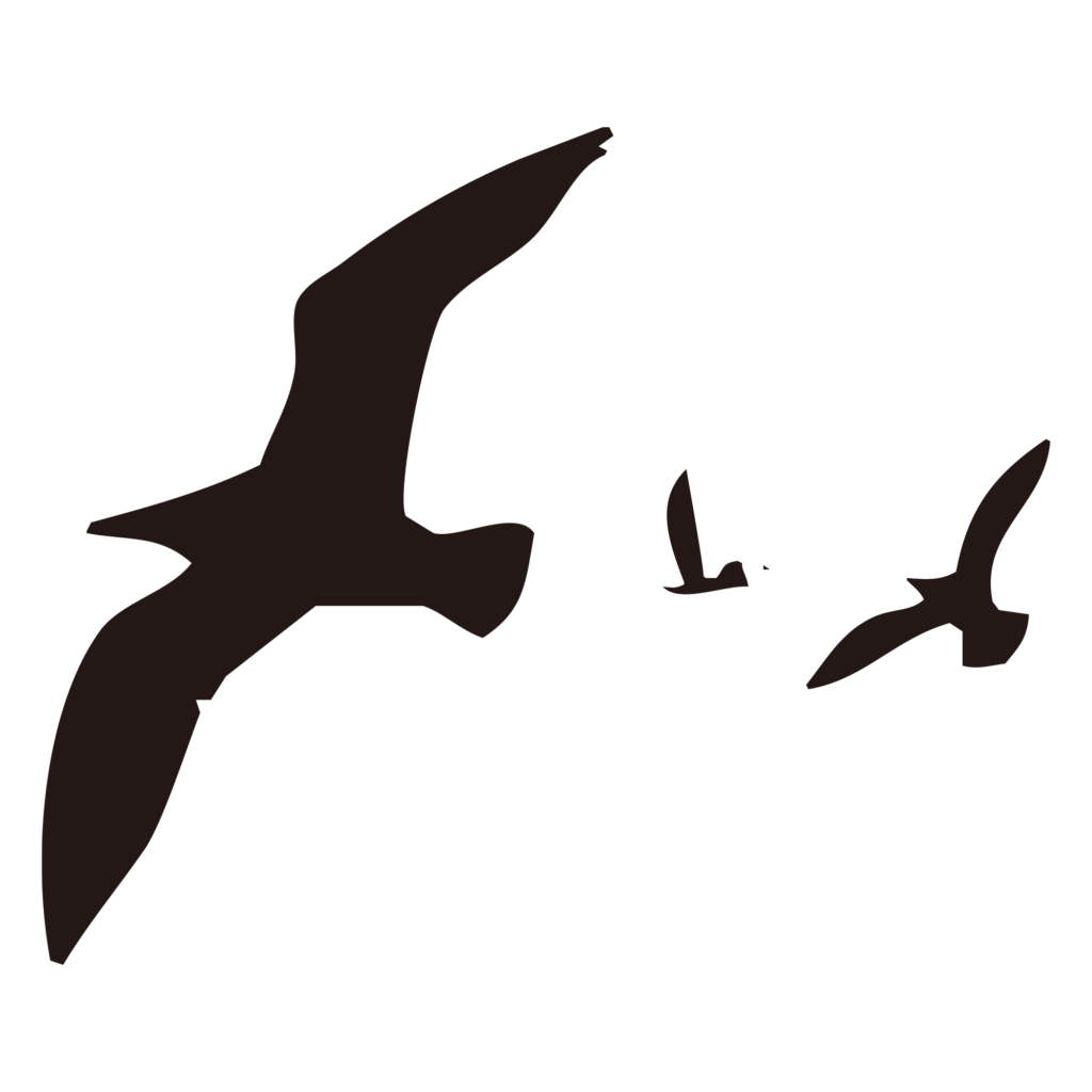 遠近感をもって空を舞う、数羽の