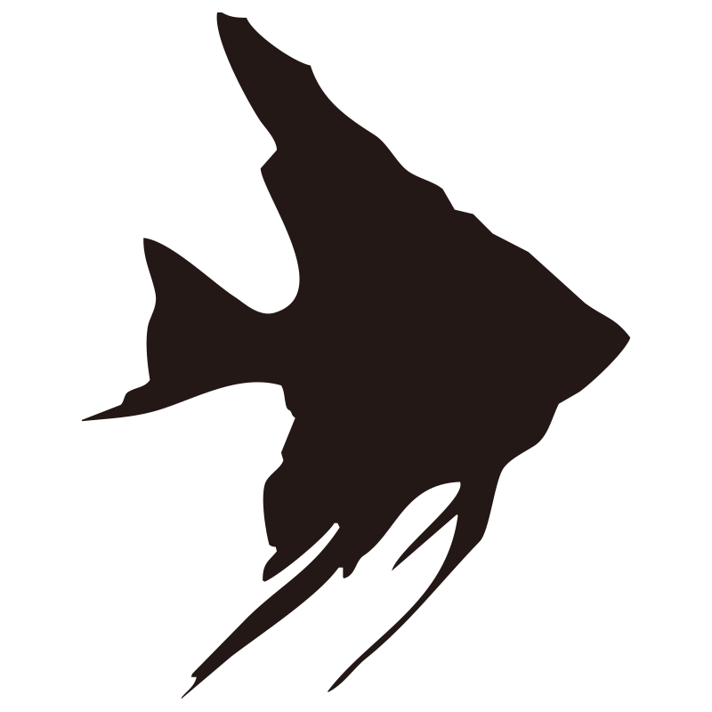 熱帯魚の代表格であるエンゼルフ