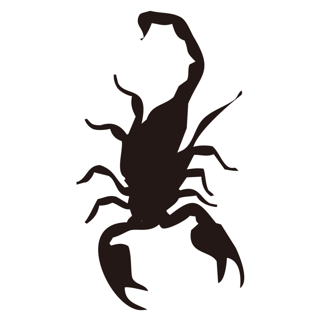 鋭いハサミと丸まった尾の毒針が