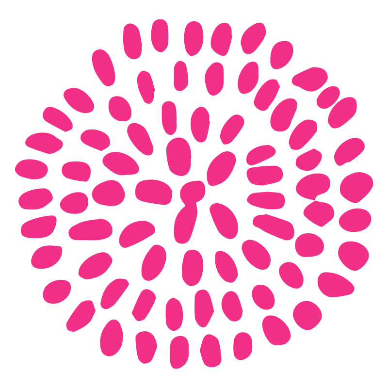 ピンク色の花びらが円状に並んだ