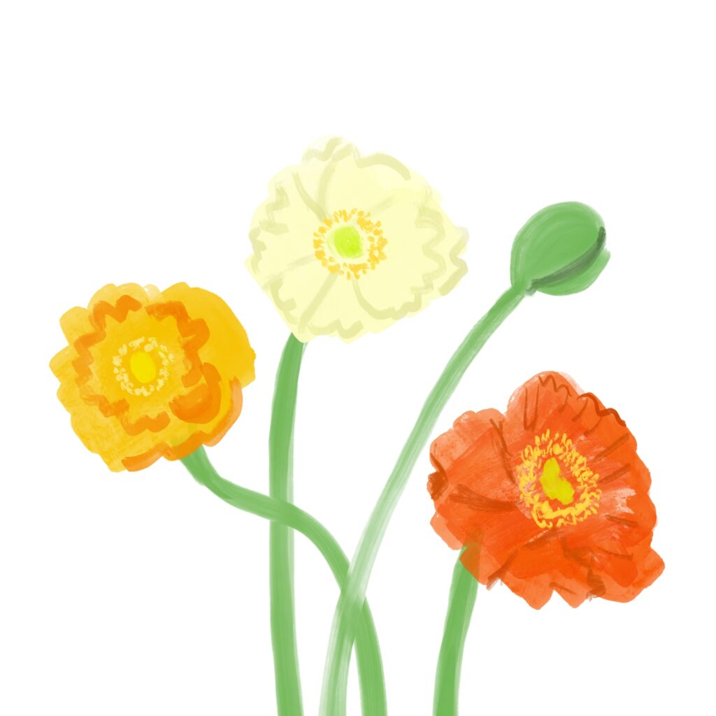 黄色や白、オレンジ色の花が並び