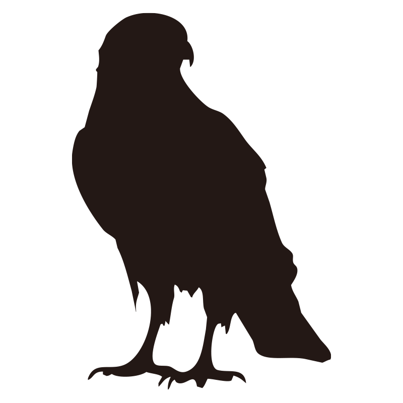 鋭い眼光と力強い爪を持つワシの