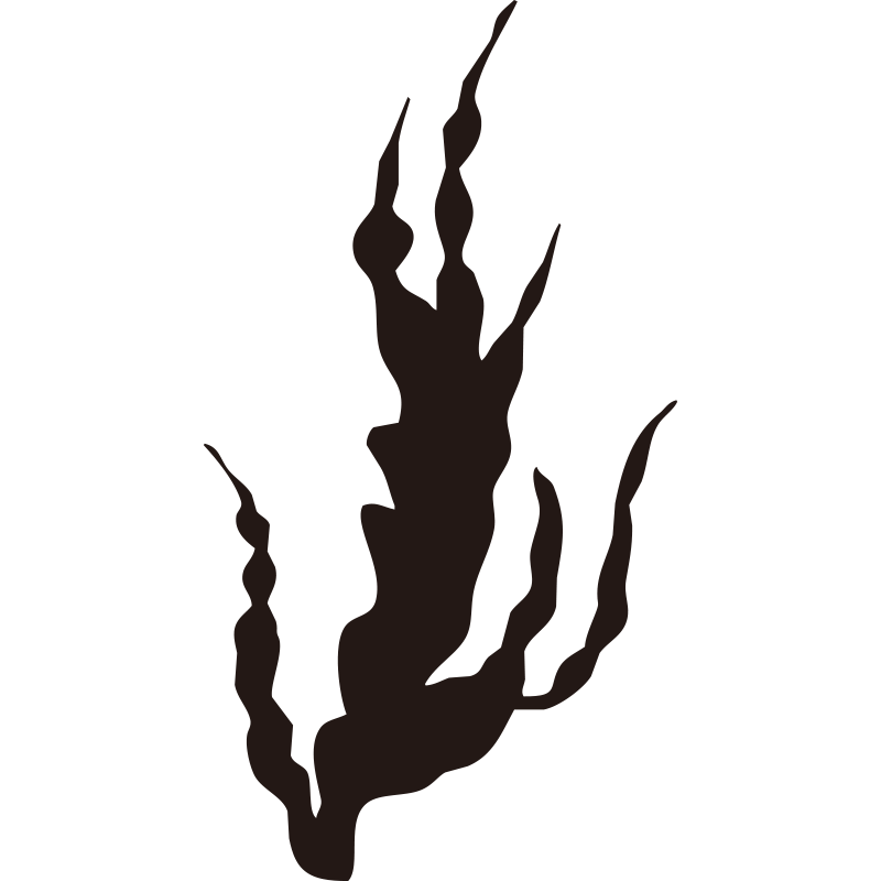 海の豊かな恵みを感じさせる、シ