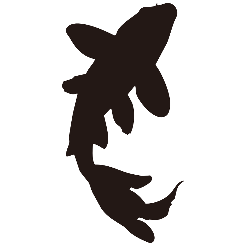 水中を優雅に泳ぐ鯉の姿を捉えた