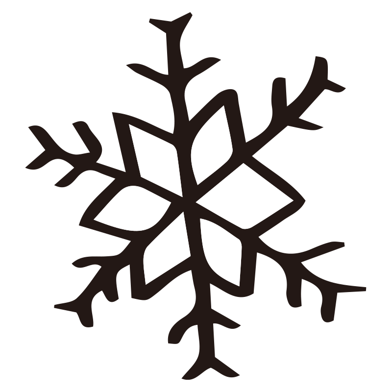 中央から放射状に広がる繊細な枝