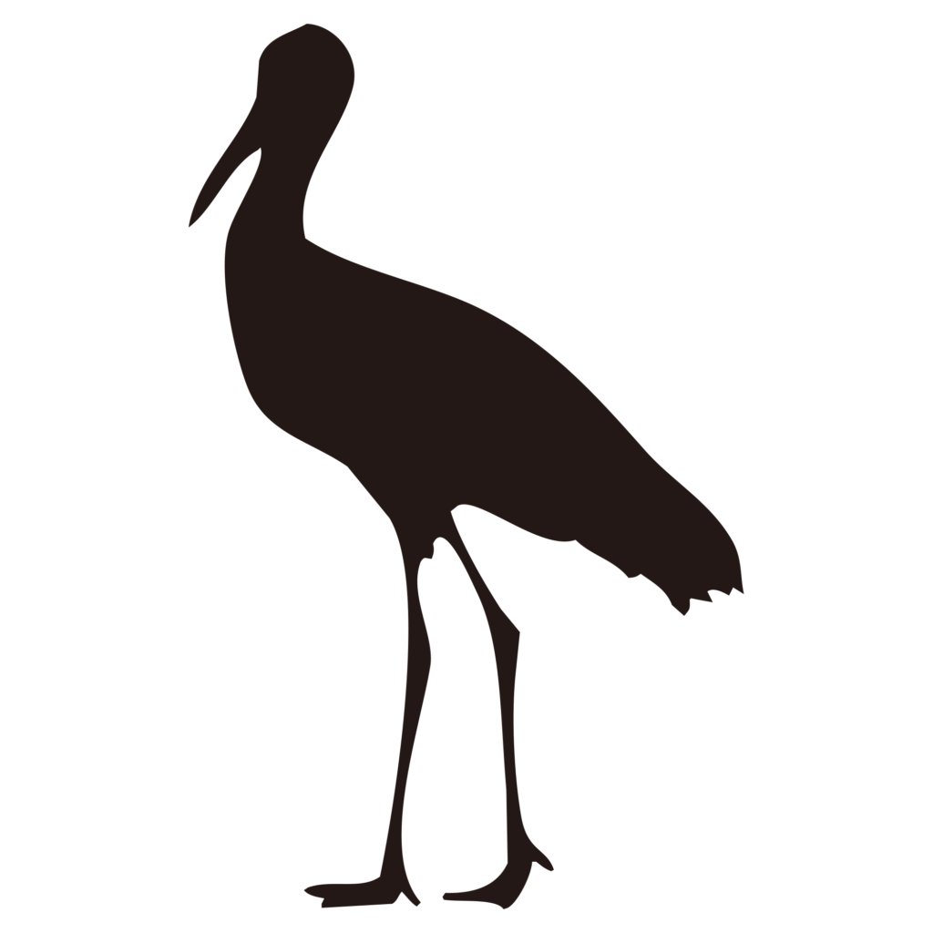 静かに佇むトキのシルエット。希