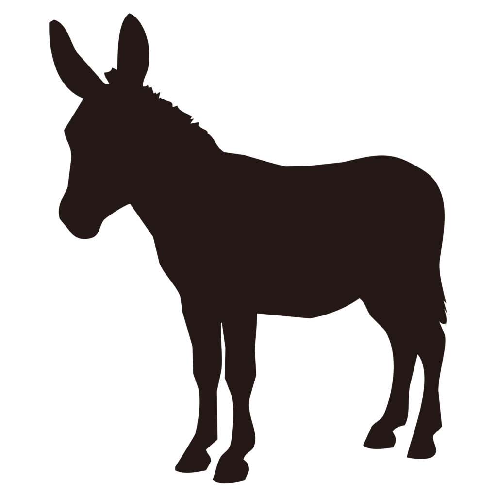 長い耳とがっしりとした体格が特