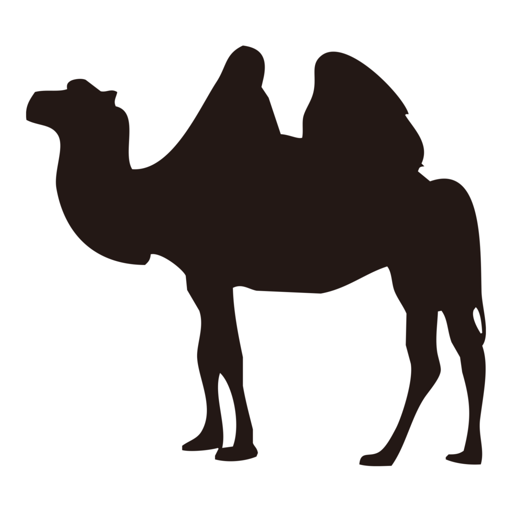 二つのコブが特徴的な、フタコブ