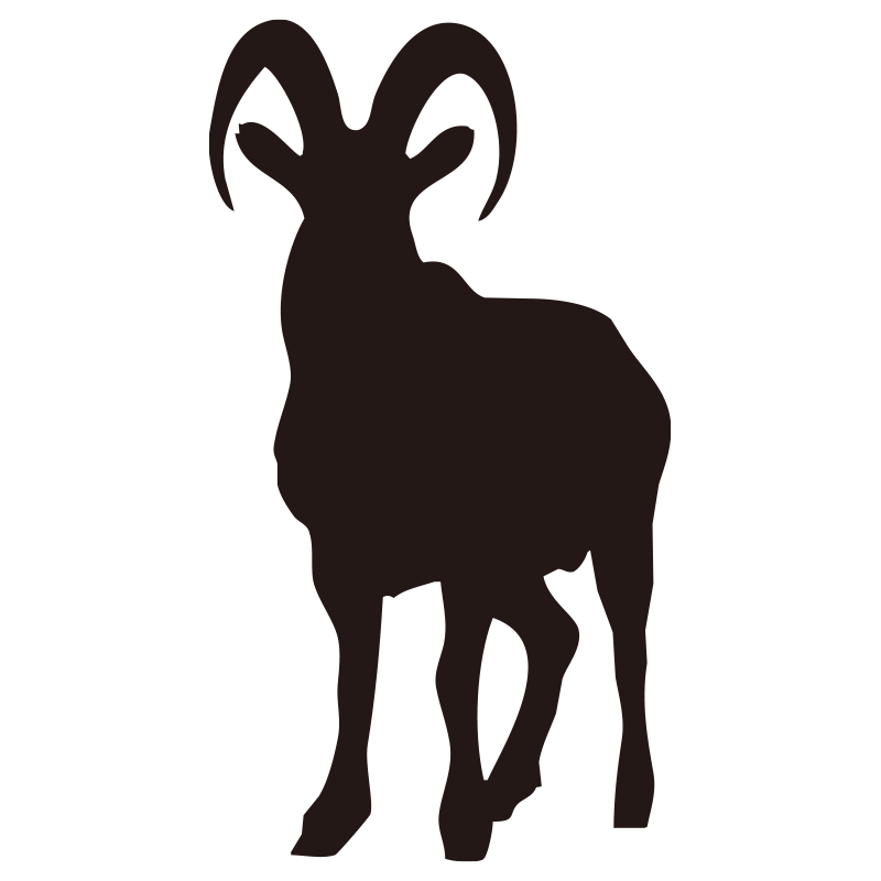 大きな角が特徴的な野生のヤギ（