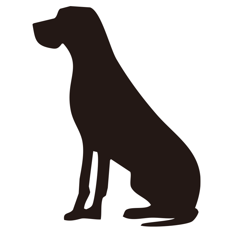 お座りをして前を向いている、凛