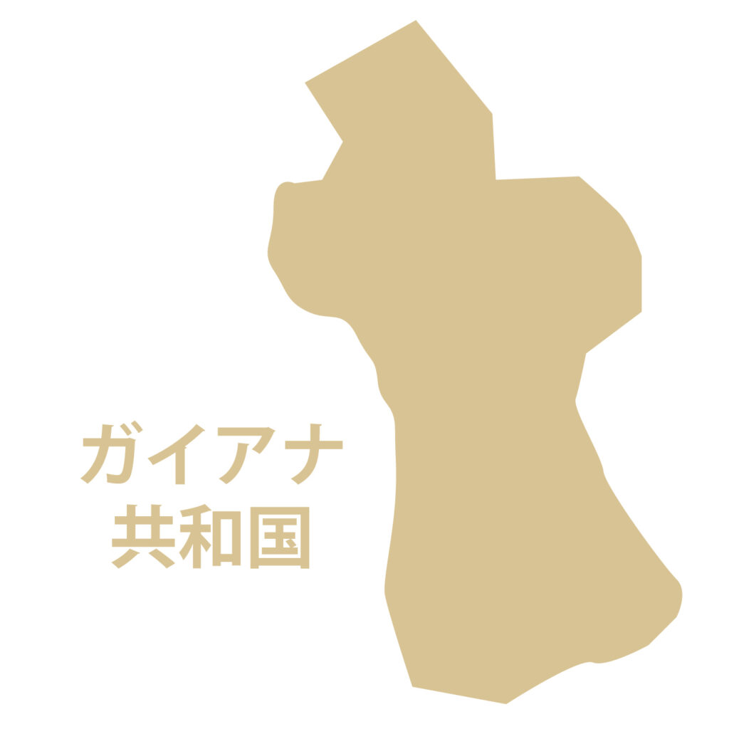 「ガイアナ」のアイコン素材です