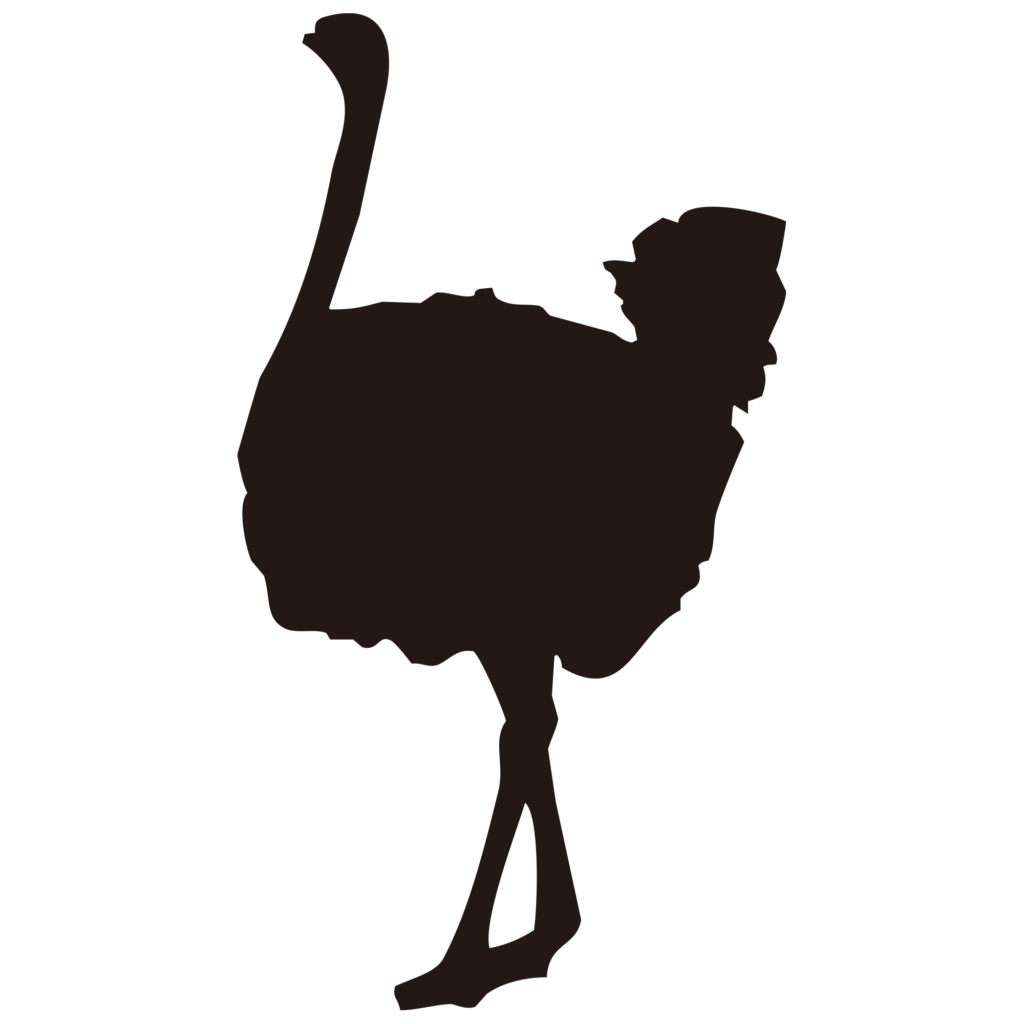 長い首と力強い足が特徴のダチョ