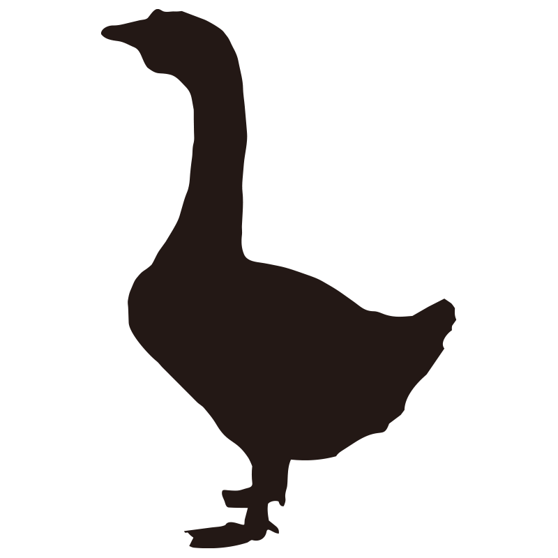 首を伸ばして立つアヒルの特徴的