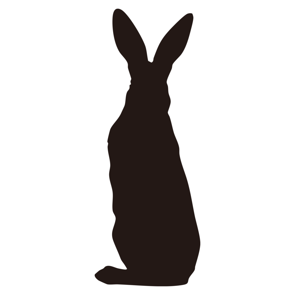 すっと立ち上がった長い耳が特徴