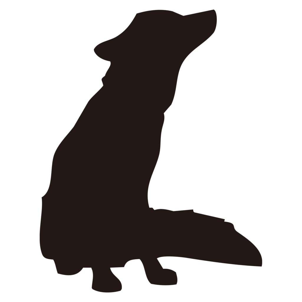空を仰ぎ見るようなキツネのシル