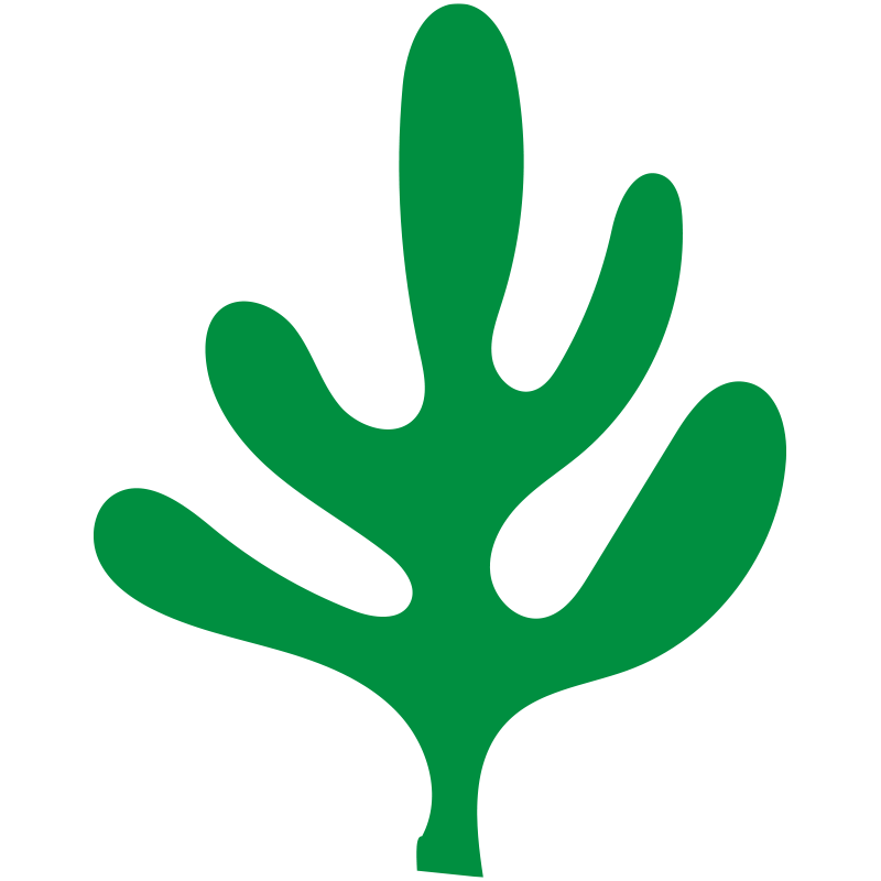 ワカメのような、または海藻や水