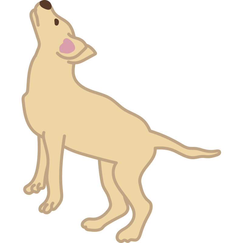 まるで人間のように、後ろ足でま