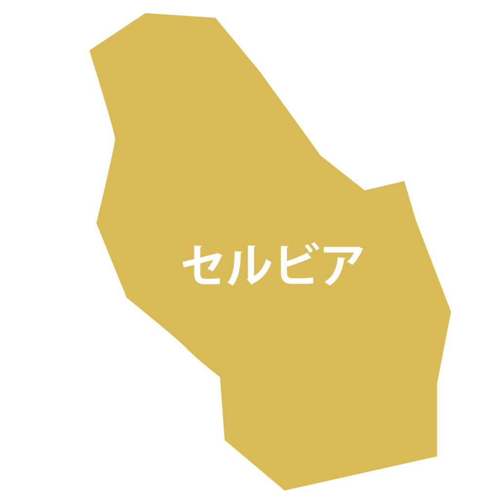 「セルビア」のアイコン素材です