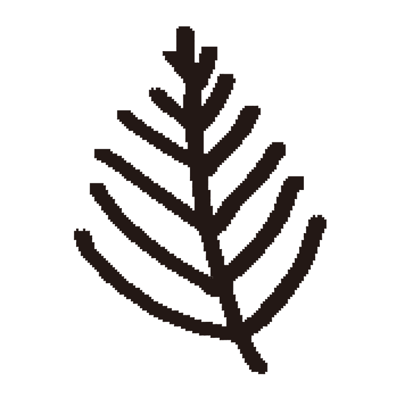 小さな葉が左右対称に並んだ、シ