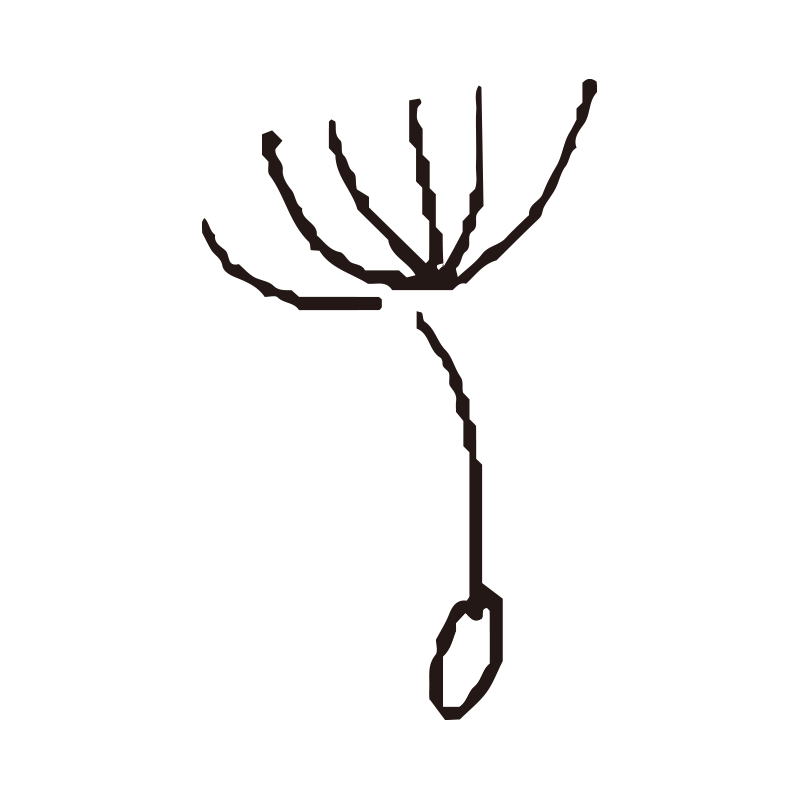 風に乗って飛んでいくタンポポの