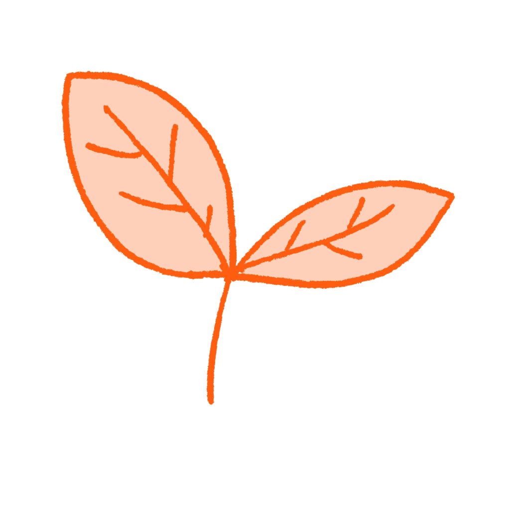 やさしいタッチで描かれた双葉の