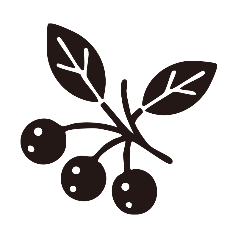 葉のついた枝に実った3つのベリ