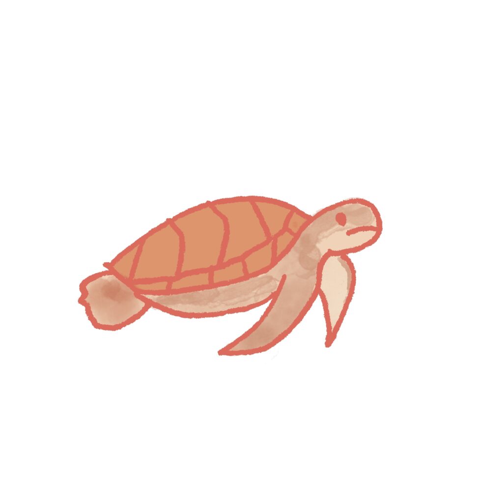 やわらかな色合いと手描き風の線