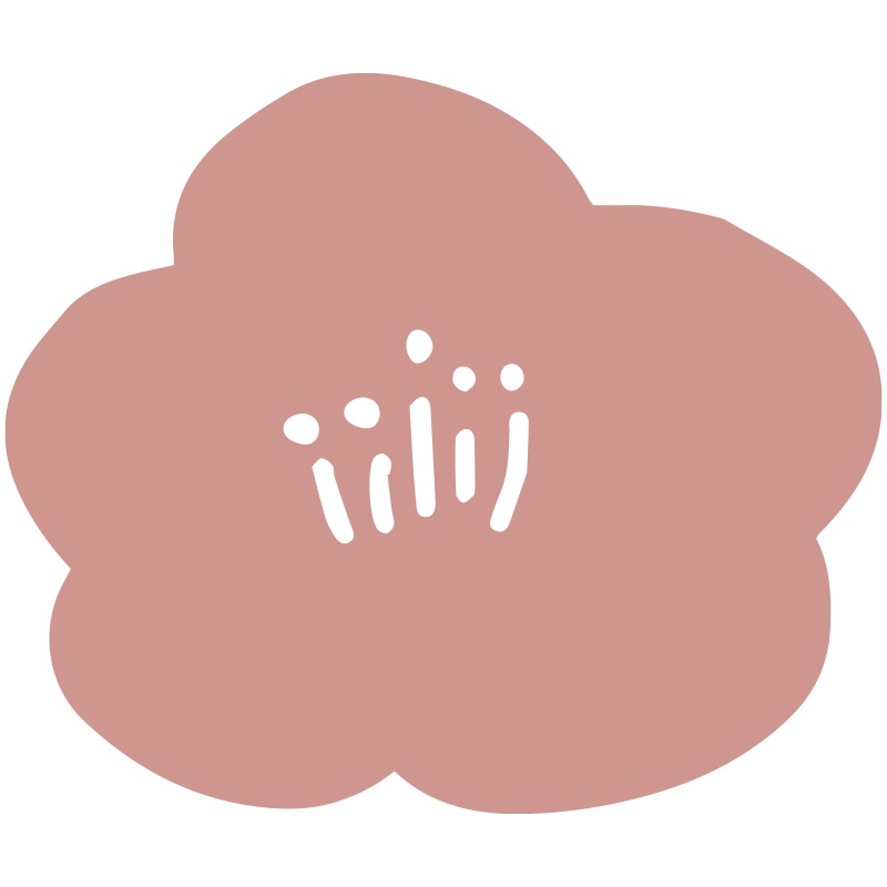 柔らかいピンク色の梅の花をイメ