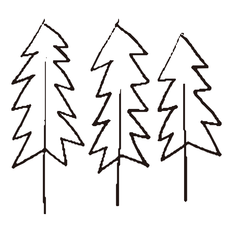 とがった形状の針葉樹が3本並ん