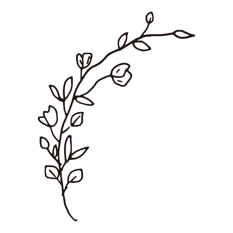 優雅に曲線を描く一枝の花を表現