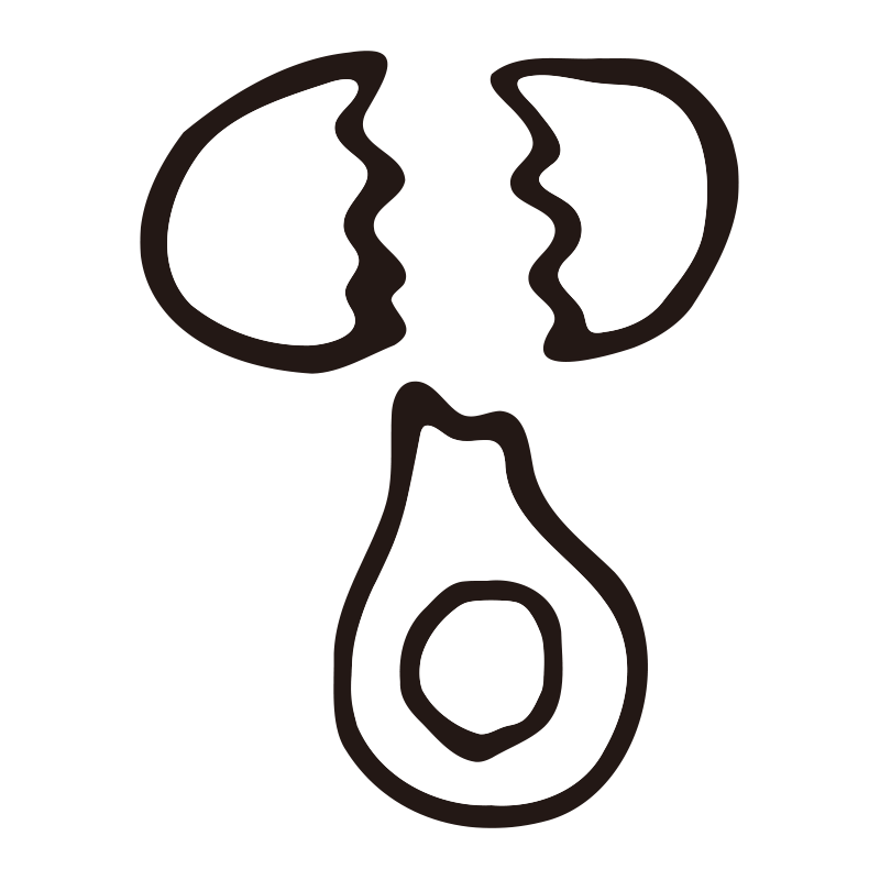 卵がパカッと割れて、中から中身