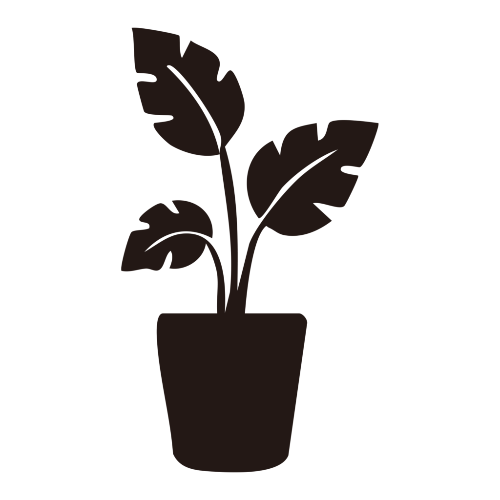 鉢植えに入ったモンステラのよう