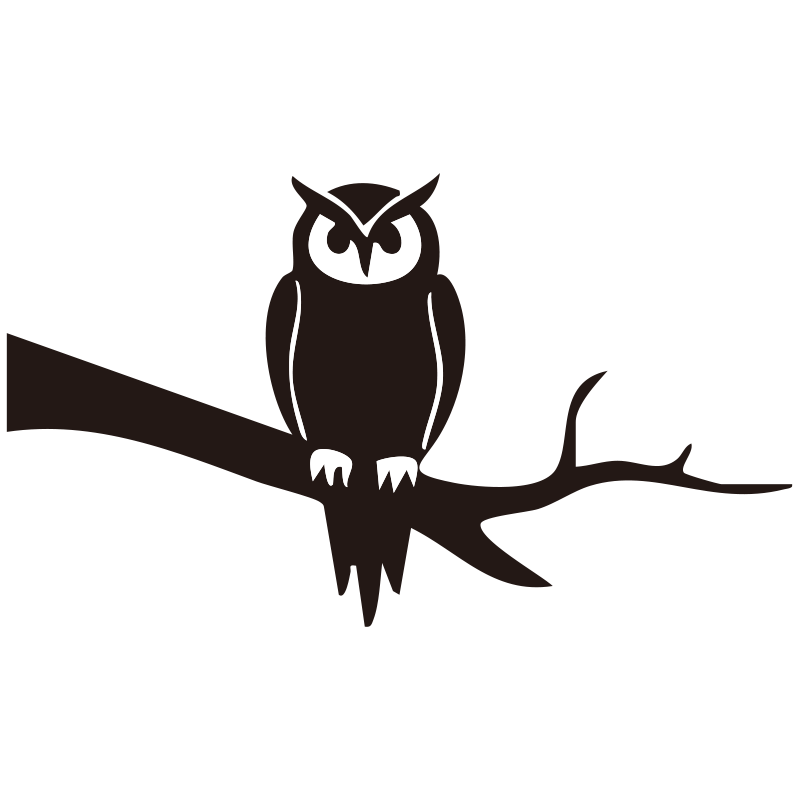 知恵の象徴とされるフクロウを、