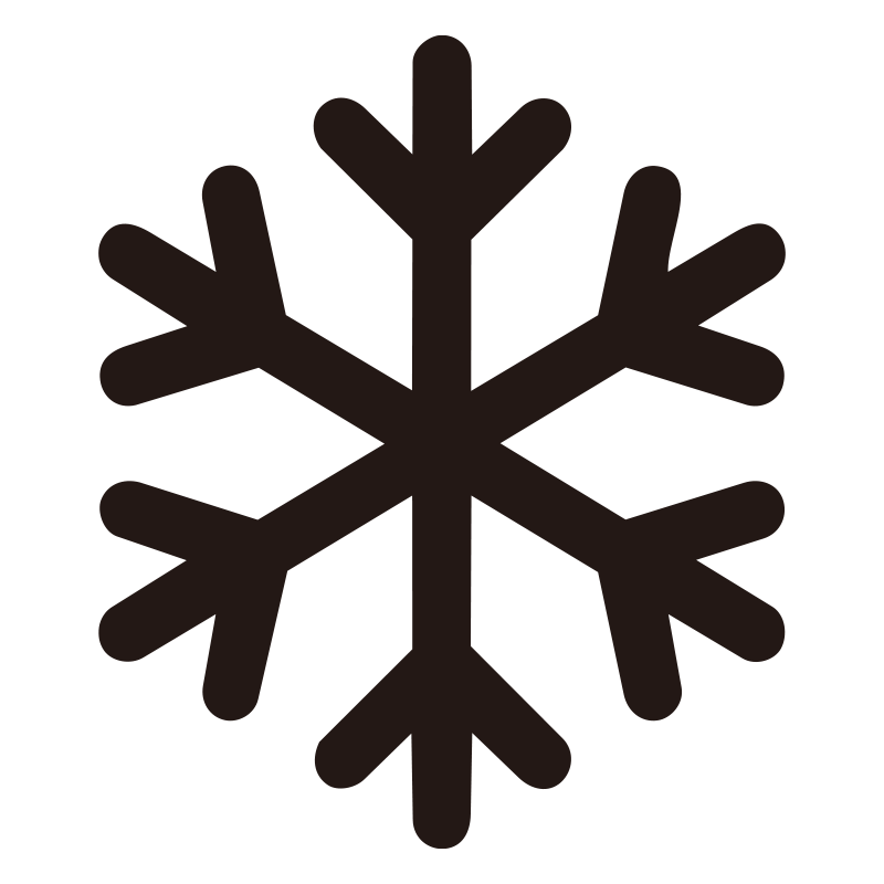 幾何学的な美しさを持つ雪の結晶