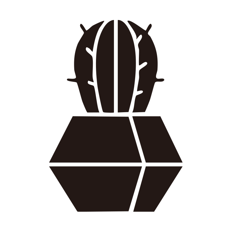 多角形の鉢に植えられた、愛らし