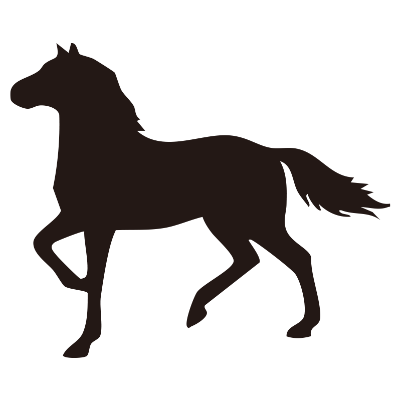 力強く優雅に歩く馬の姿を捉えた