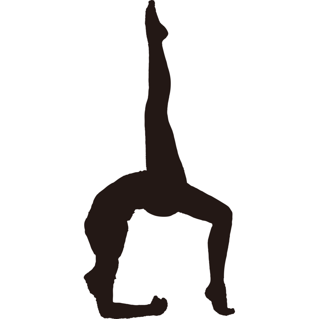 ヨガやピラティスの高度なポーズ