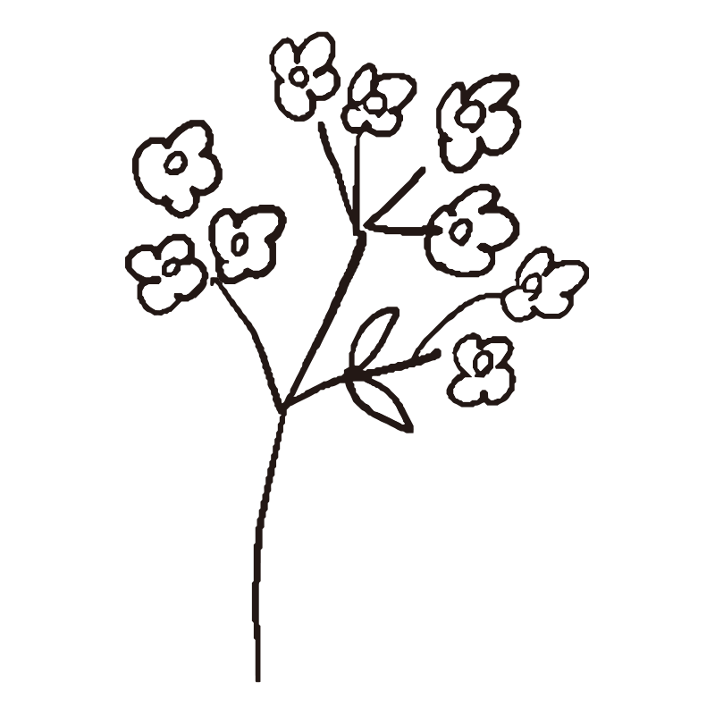 細い枝から小さな花がたくさん咲