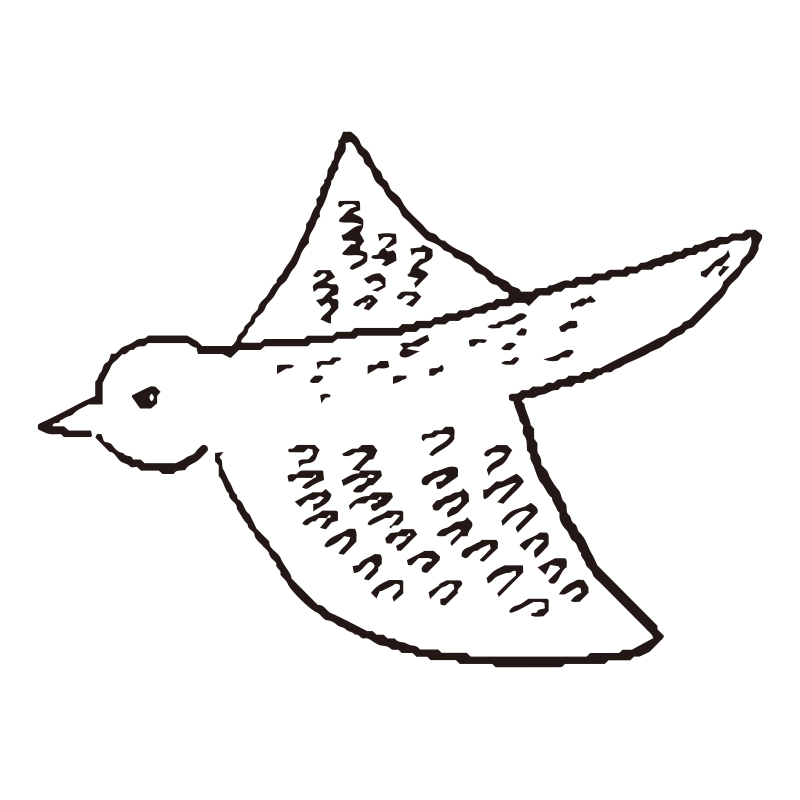 大きく羽を広げて飛翔する鳥（ひ