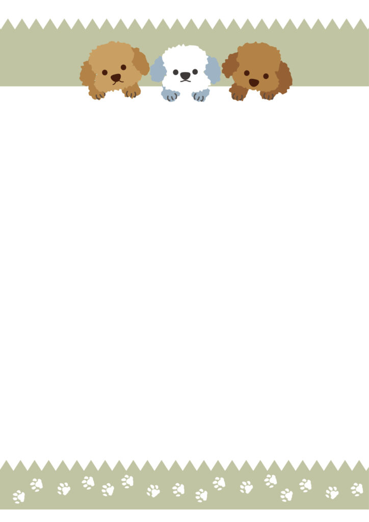 3匹のトイプードルと犬の肉球が