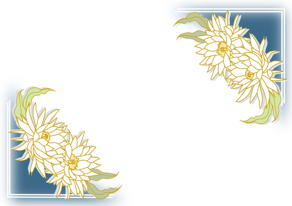 月下美人のイラスト入りの花のフ