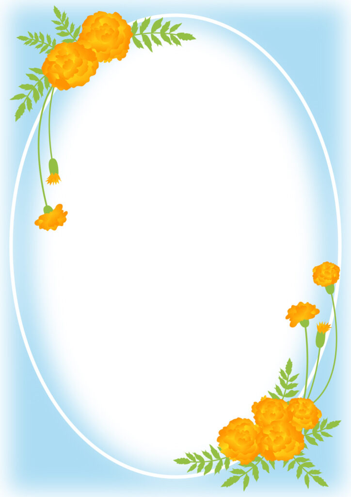 オレンジ色のマリーゴールド＆楕