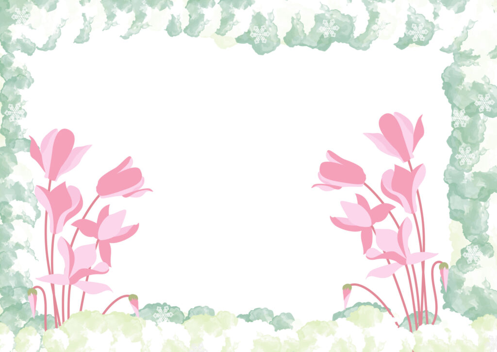 シクラメンの花がイラストで描か