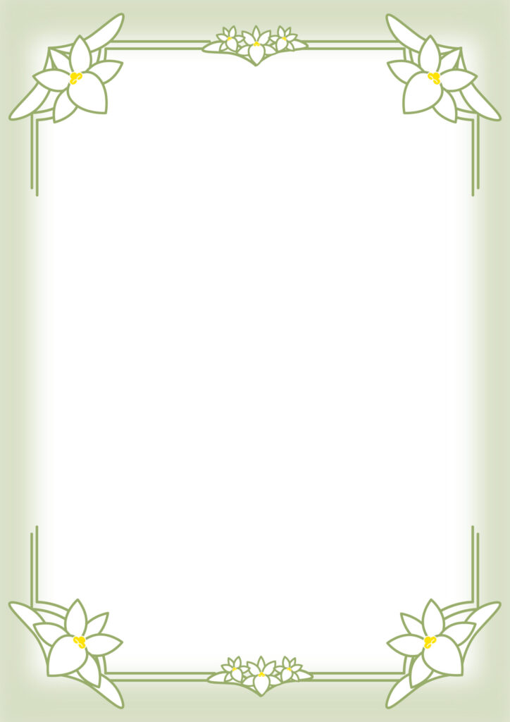 オシャレなアングレカムの花のフ