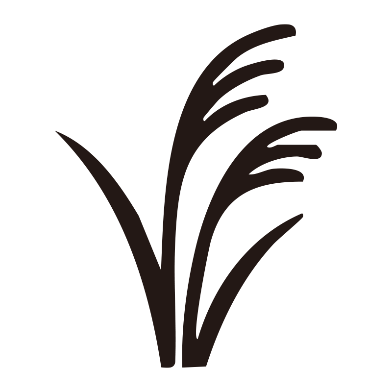 秋の野原にそよぐススキを、どこ