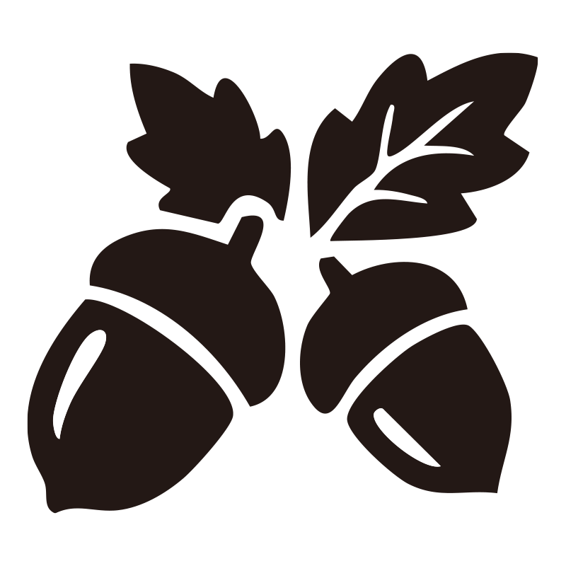 秋の訪れを感じさせるドングリと