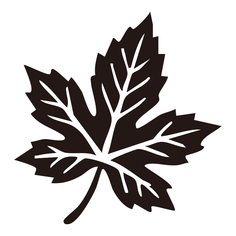 複数の紅葉の葉が舞う様子を表現