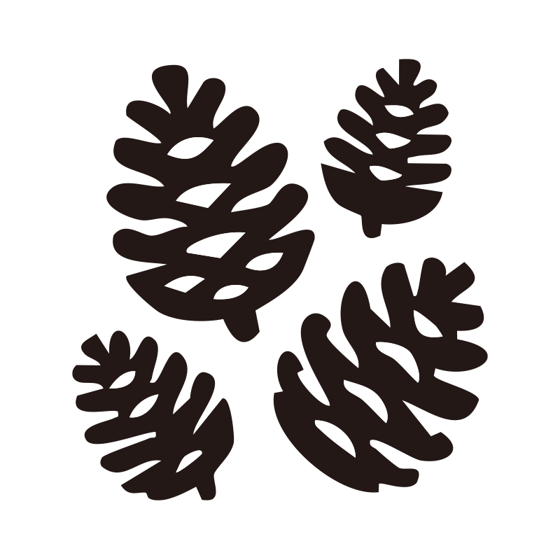 冬や秋の装飾に欠かせない松ぼっ
